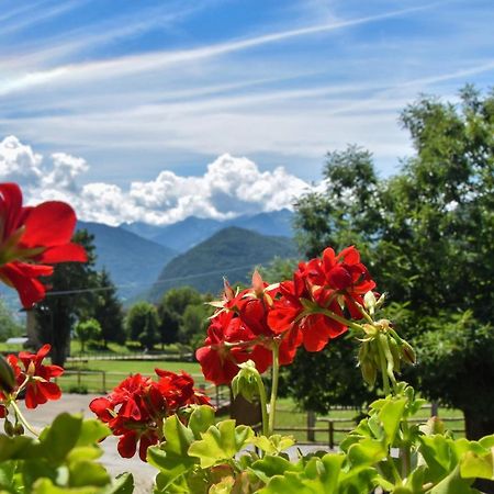Albergo Ristorante Innocenti Ardenno Экстерьер фото